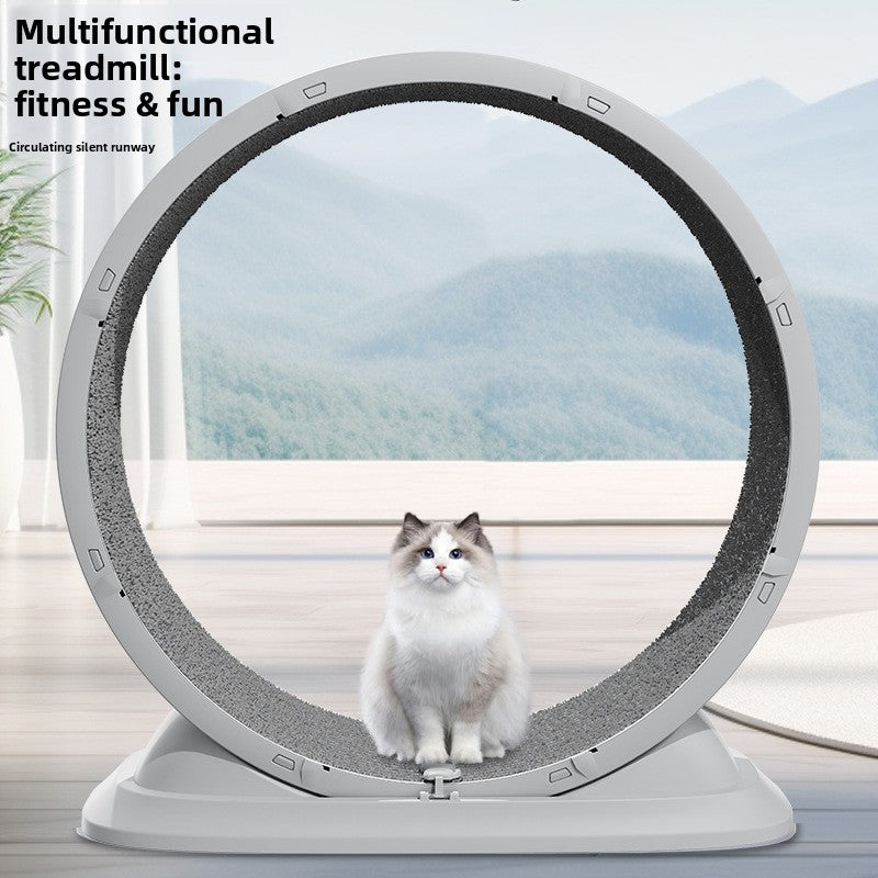 Cat Exercise Wheel - Indoor Fitness Treadmill 🏃