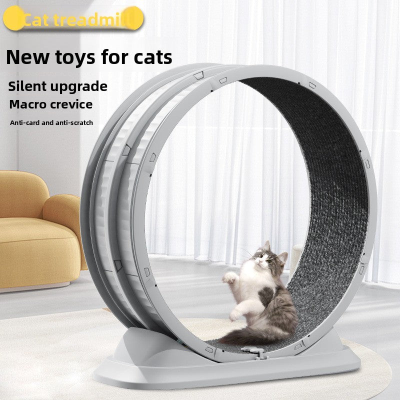 Cat Exercise Wheel - Indoor Fitness Treadmill 🏃