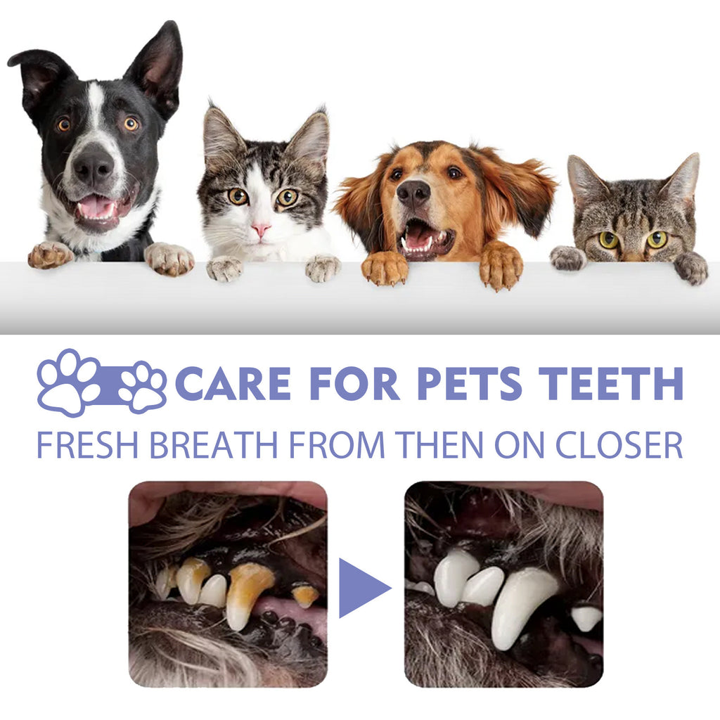 Pet Teeth Cleaning Spray for Cats & Dogs - Fresh Breath & Oral Care