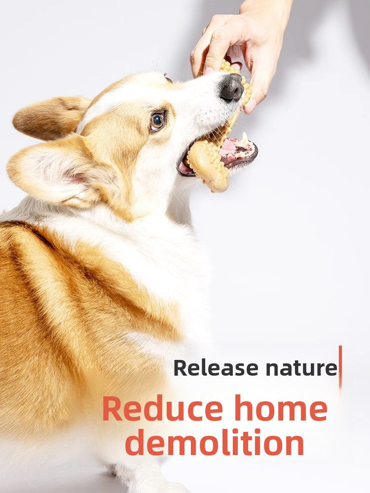 Natural Wood Dog Chew Toys – Dental Health, Bite Resistant, Safe & Durable for All Breeds