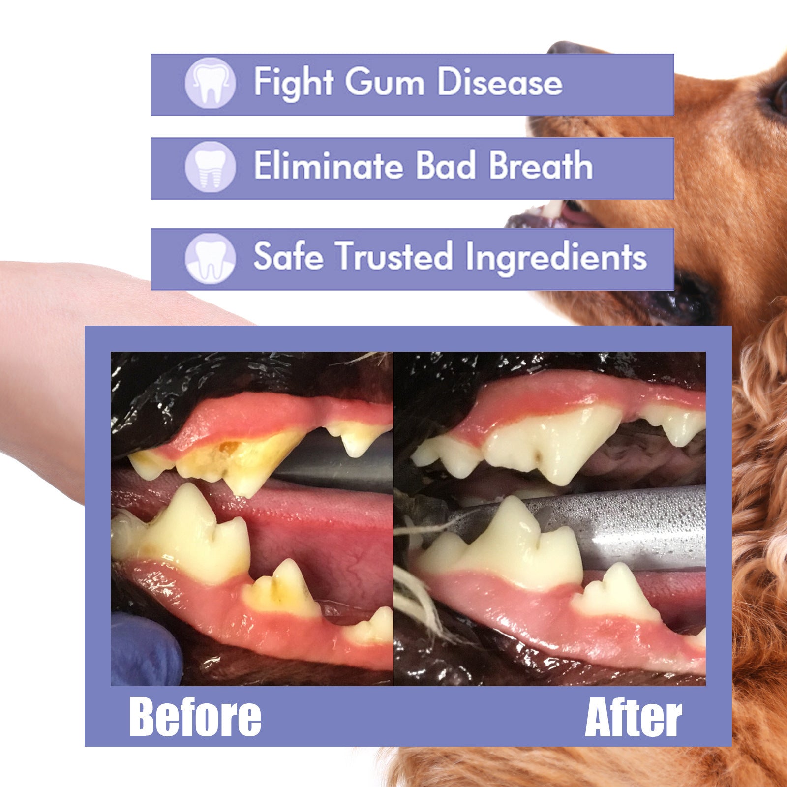 Pet Teeth Cleaning Spray for Cats & Dogs - Fresh Breath & Oral Care