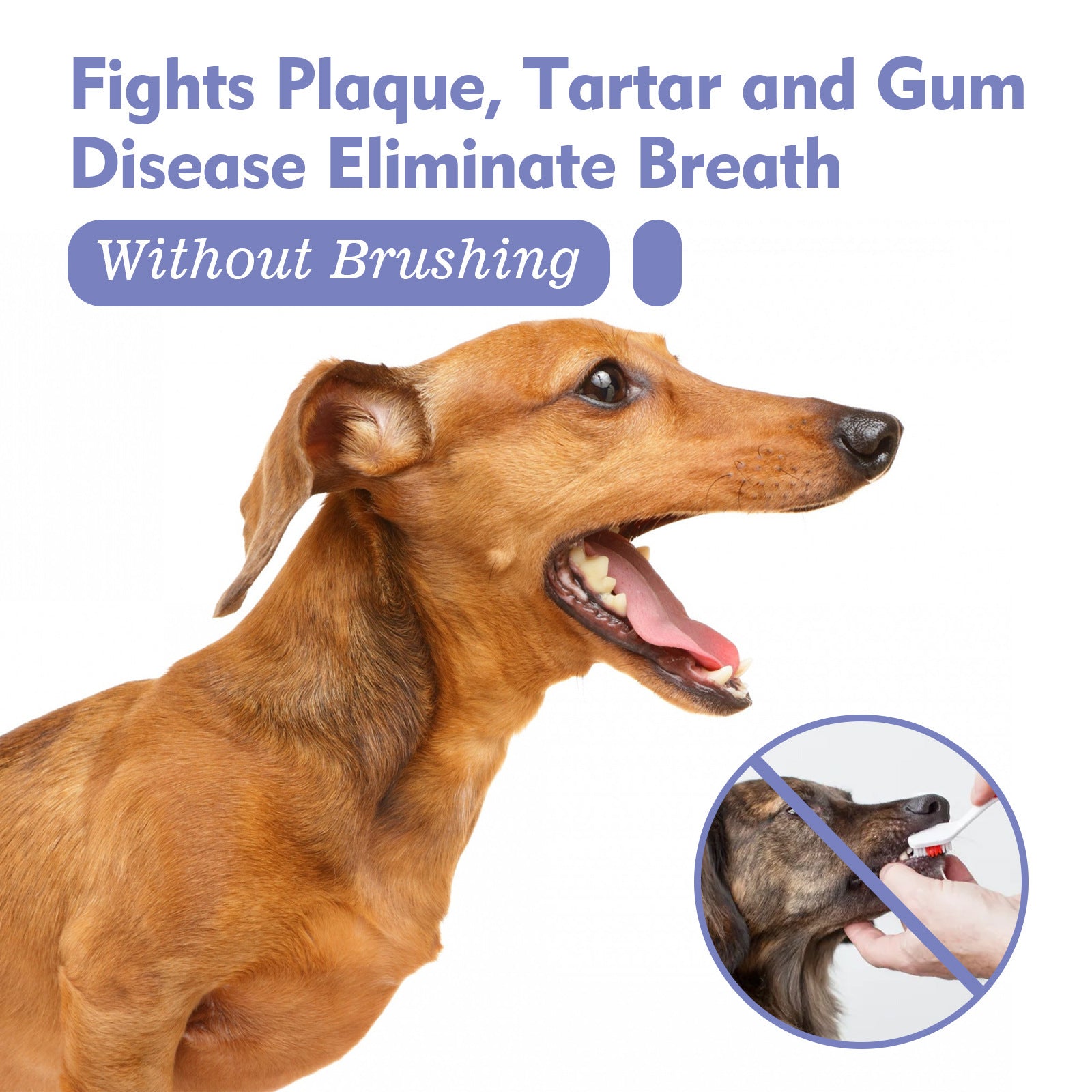 Pet Teeth Cleaning Spray for Cats & Dogs - Fresh Breath & Oral Care