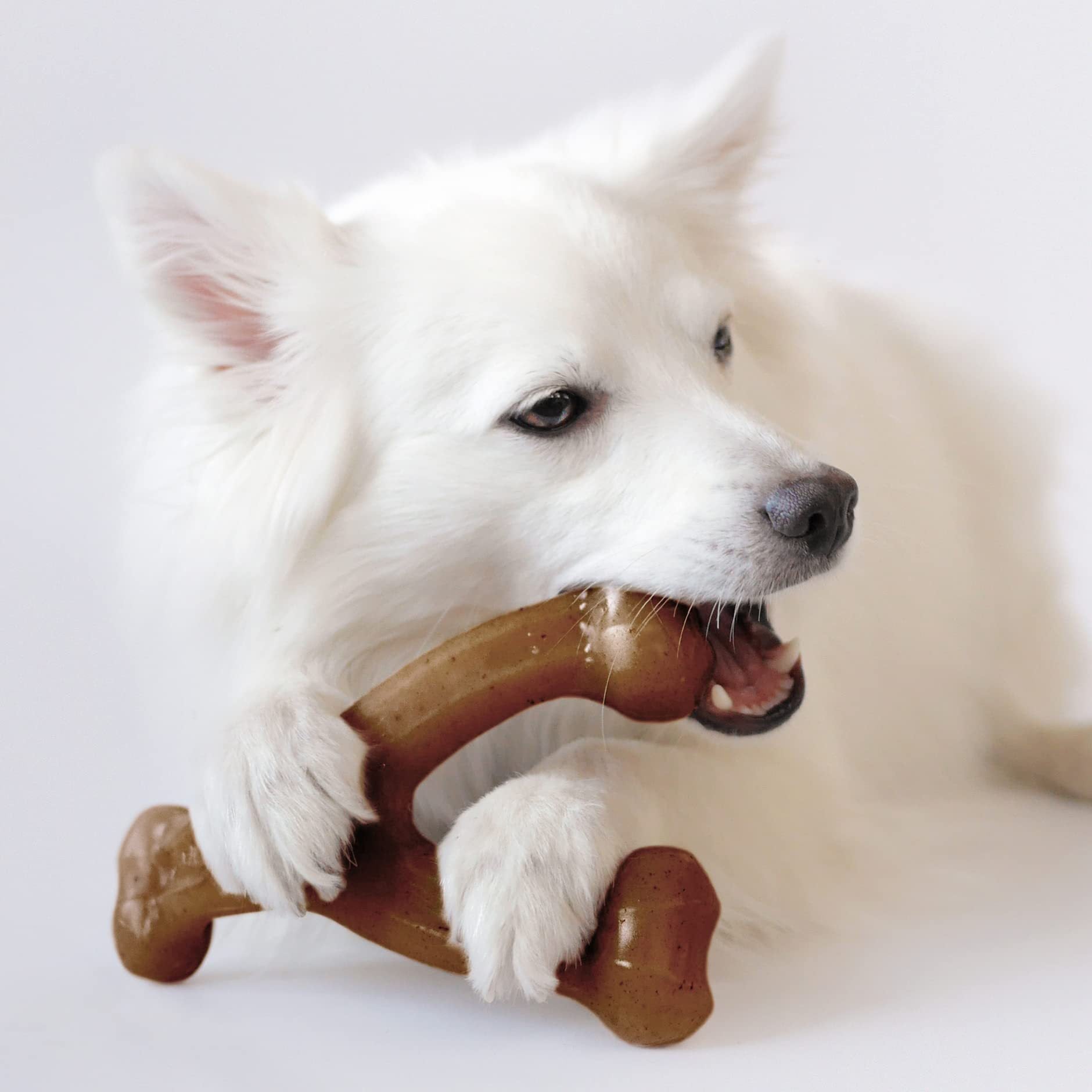 Durable Flavored Nylon Dog Chew Toy