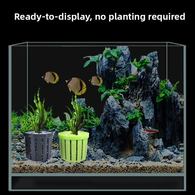 Hydroponic Aquarium Plant Basket – Soilless Planting Cup for Aquatic Plants & Fish Tanks