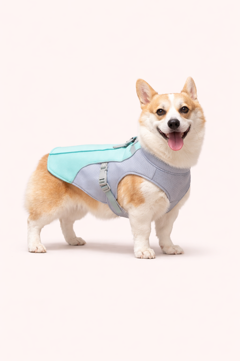 Summer Dog Cooling Vest – Breathable, Adjustable, Reflective Safety Vest for Hot Weather