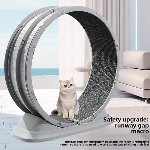 Cat Exercise Wheel - Indoor Fitness Treadmill 🏃