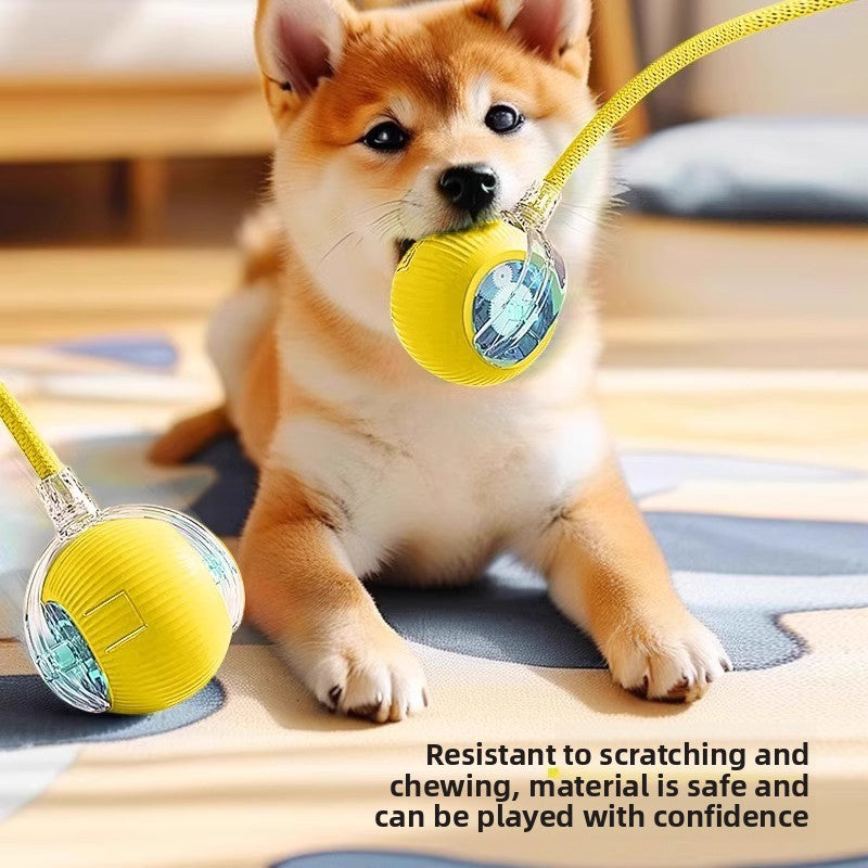 Smart Interactive Dog Ball - Self-Rolling Toy ⚽